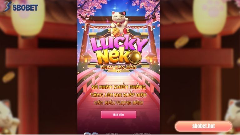 Neko May Mắn Sbobet là gì