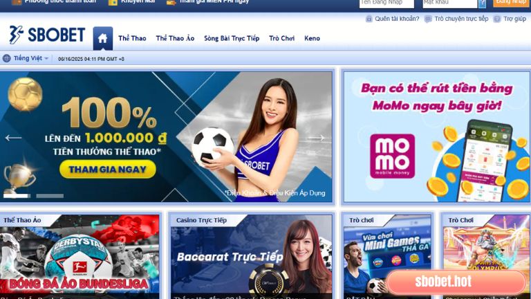 Truy cập trang chủ và điền dữ liệu theo ô tương ứng của tài khoản